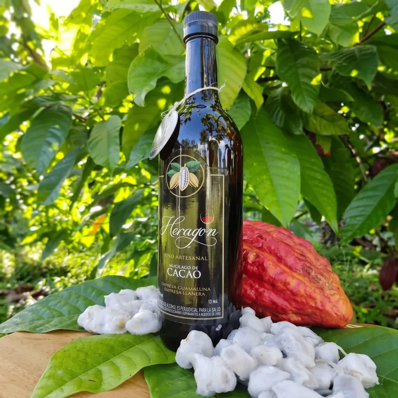 Vino de Cacao, foto 8 de 10
